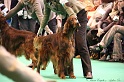 Crufts2011_2 035